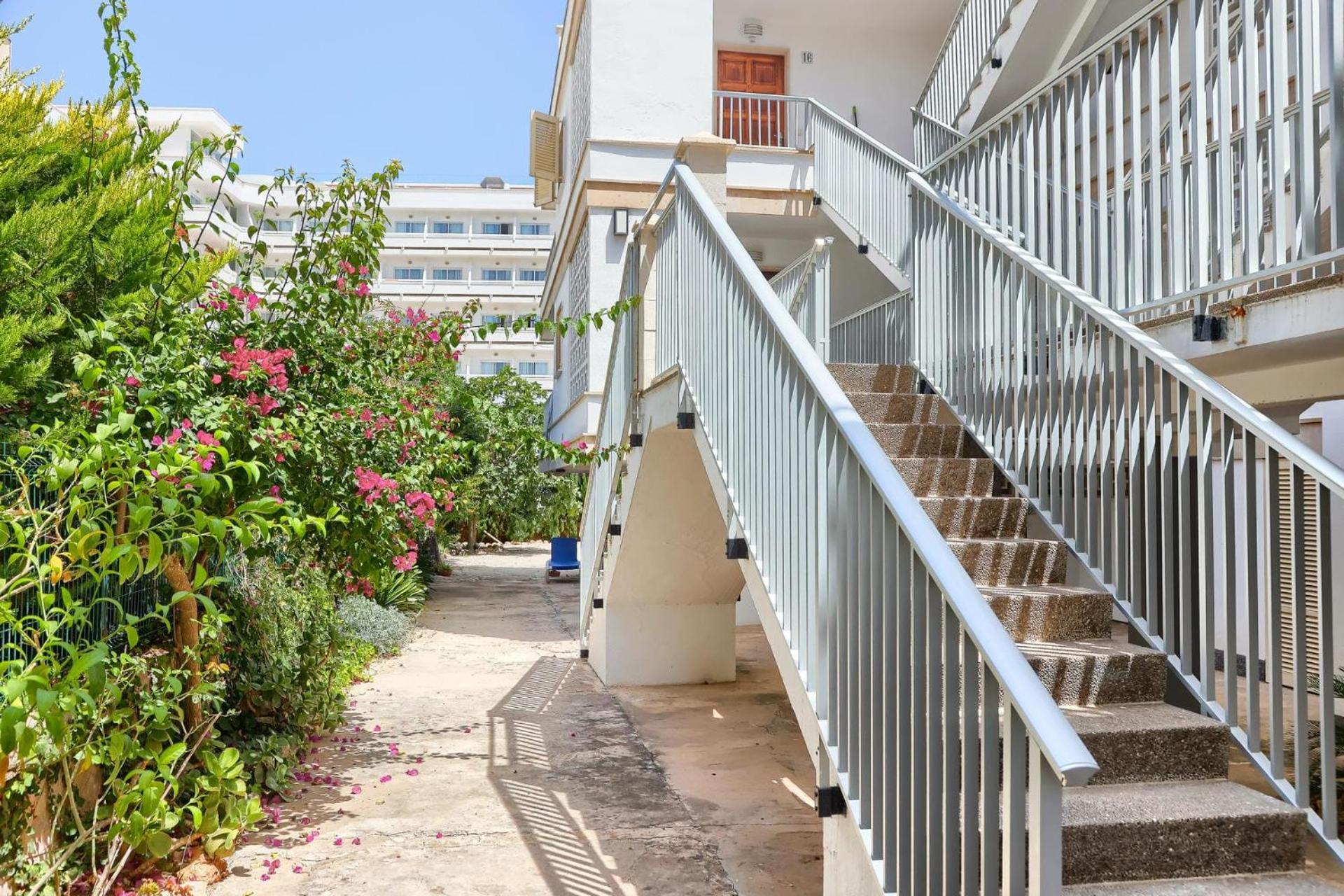 Rosa 16-rentallorca * Alcúdia